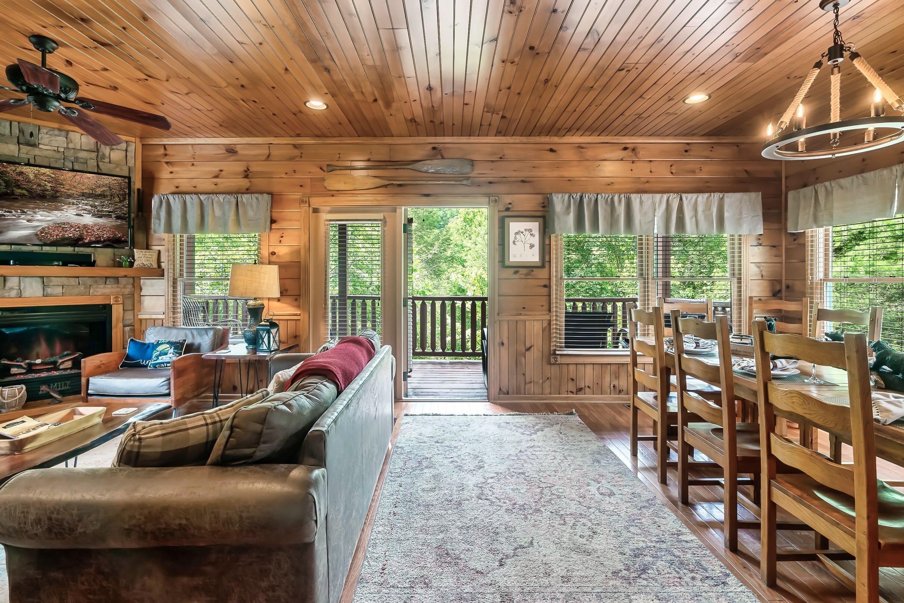 Smart TV, DVD player, video library