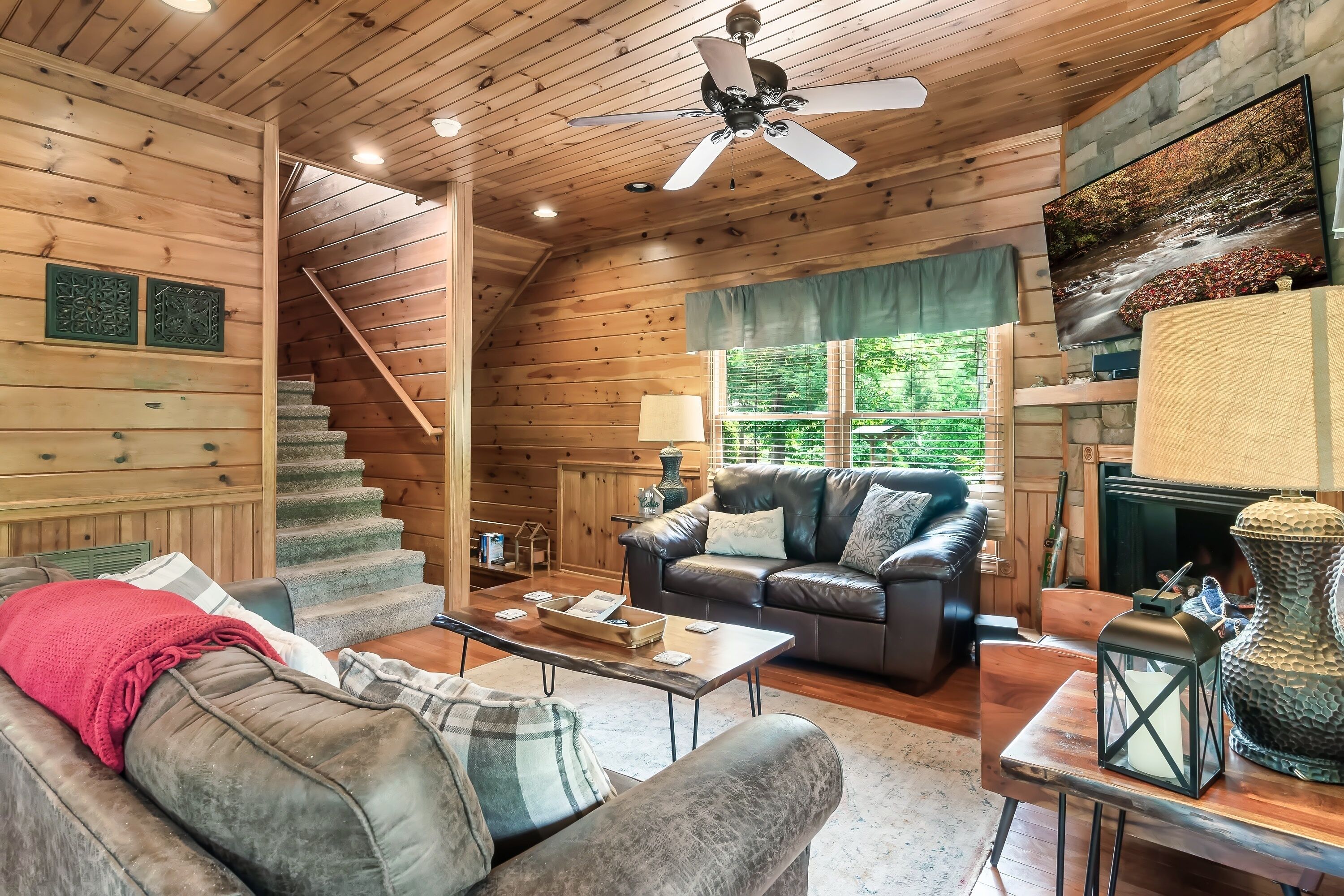 TV connectée, lecteur de DVD, vidéothèque