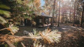 Une cabane dans une forêt, dotée d’un porche et d’une petite terrasse.