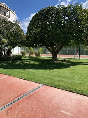 Sport court