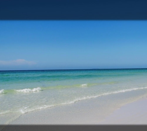 Tropical Green Cottage – Siesta Key, Just Cross the Street! Unit B