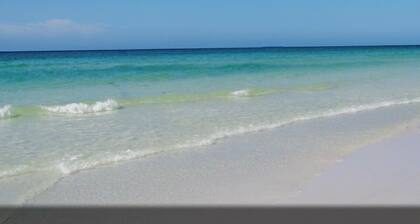 Tropical Green Cottage – Siesta Key, Just Cross the Street! Unit B