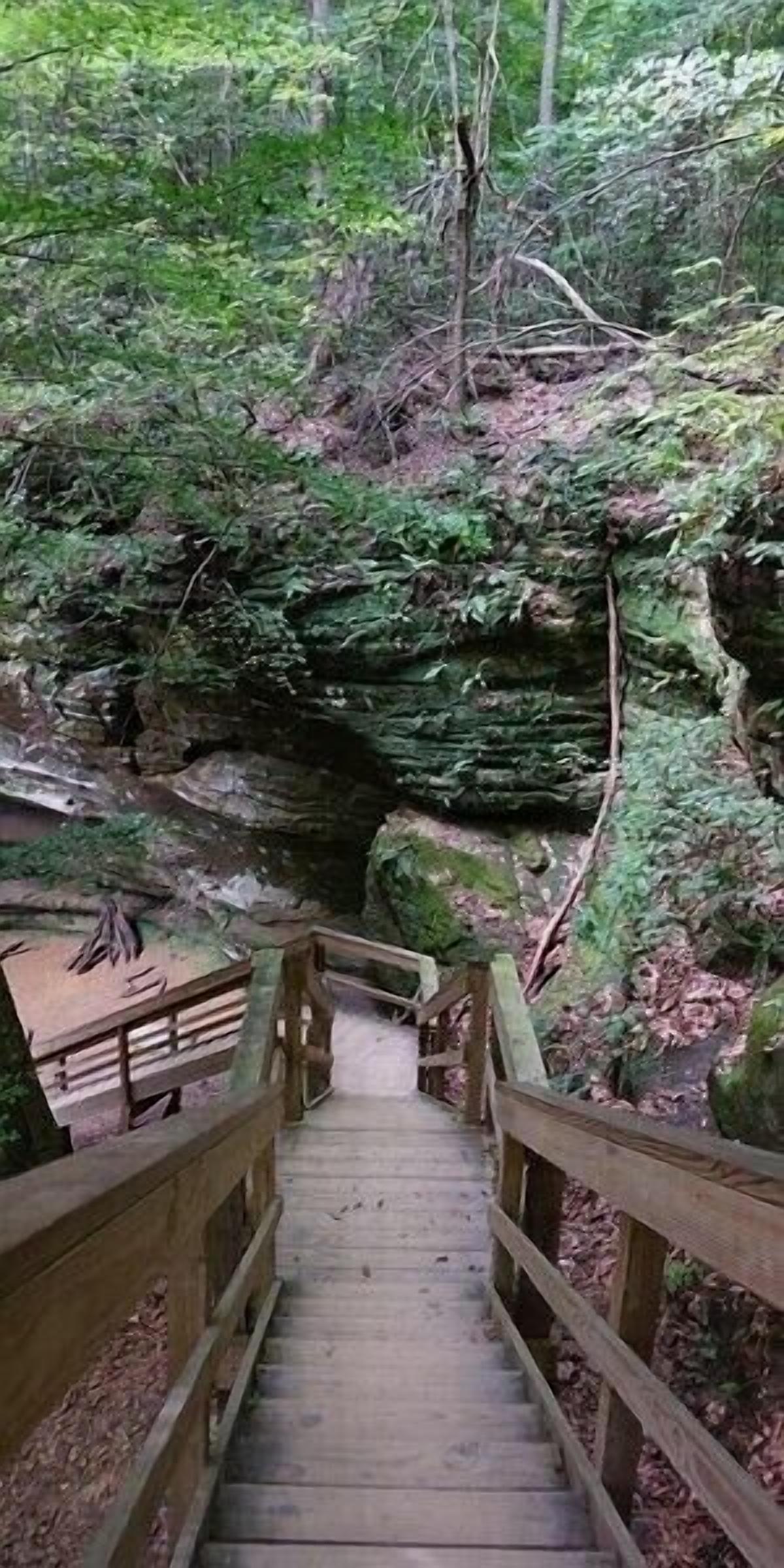 A wooden staircase leading down to a natural area with a wooden railing.