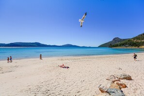 A beach with clear blue water, a few people walking, and a seagull flying.