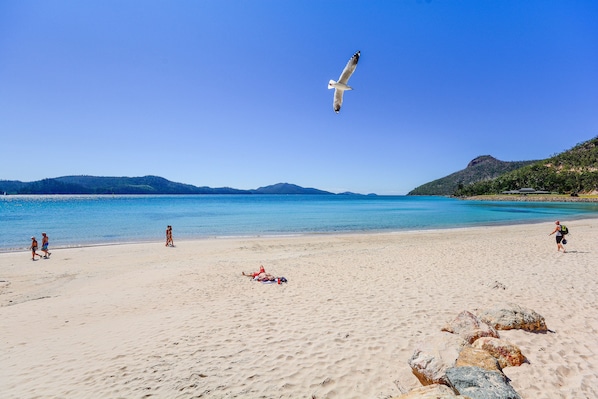 Beach - Airlie Beach Home (Jubilee Pocket)