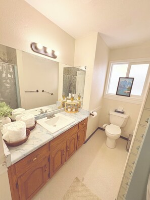 Combined shower/bathtub, hair dryer, bidet, towels