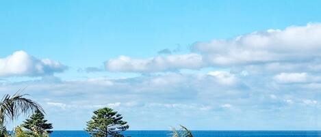 Vista des de l'allotjament