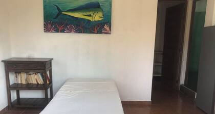 "The point 6" beautiful apartment facing the sea