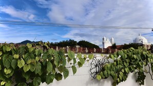 Parede branca com trepadeiras verdes, céu claro e vista distante de um edifício branco com cúpula e torres.