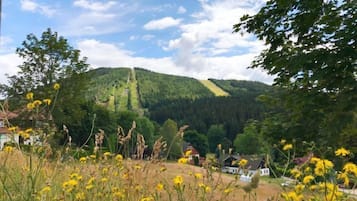 Overnatningsstedets område