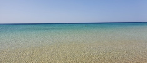 Vlak bij het strand