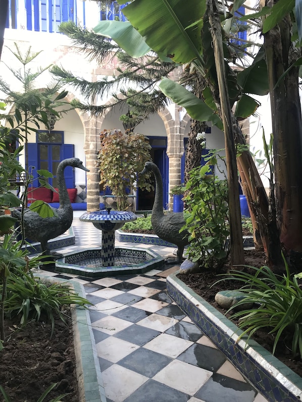 Property grounds - Ryad du Figuier (Essaouira)