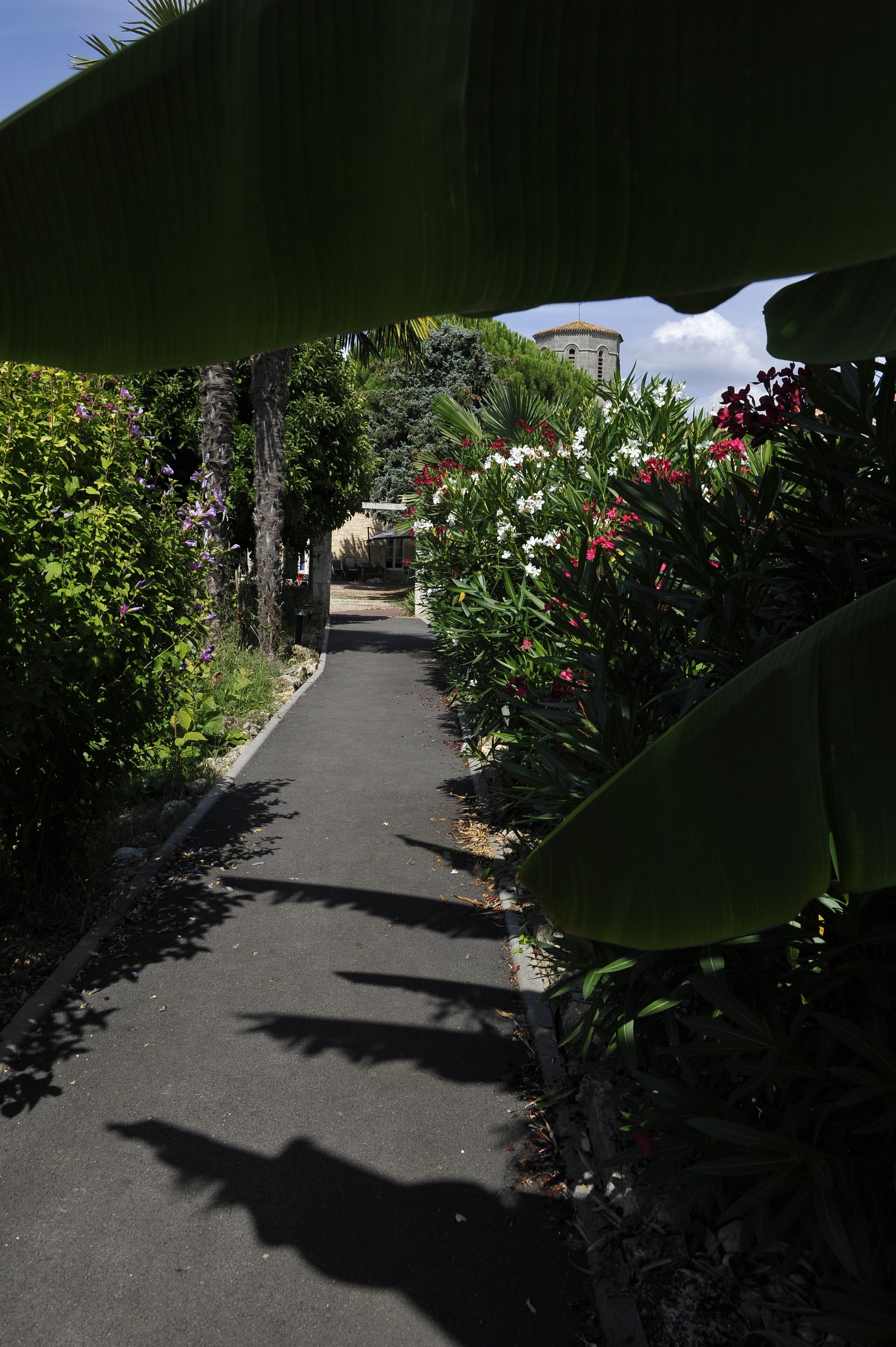 A paved pathway flanked by lush greenery and flowering plants, leading towards a building with a dome roof.