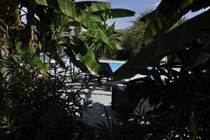 Un área de piscina con sillones de descanso y sombrillas, rodeada de exuberante follaje y palmeras.