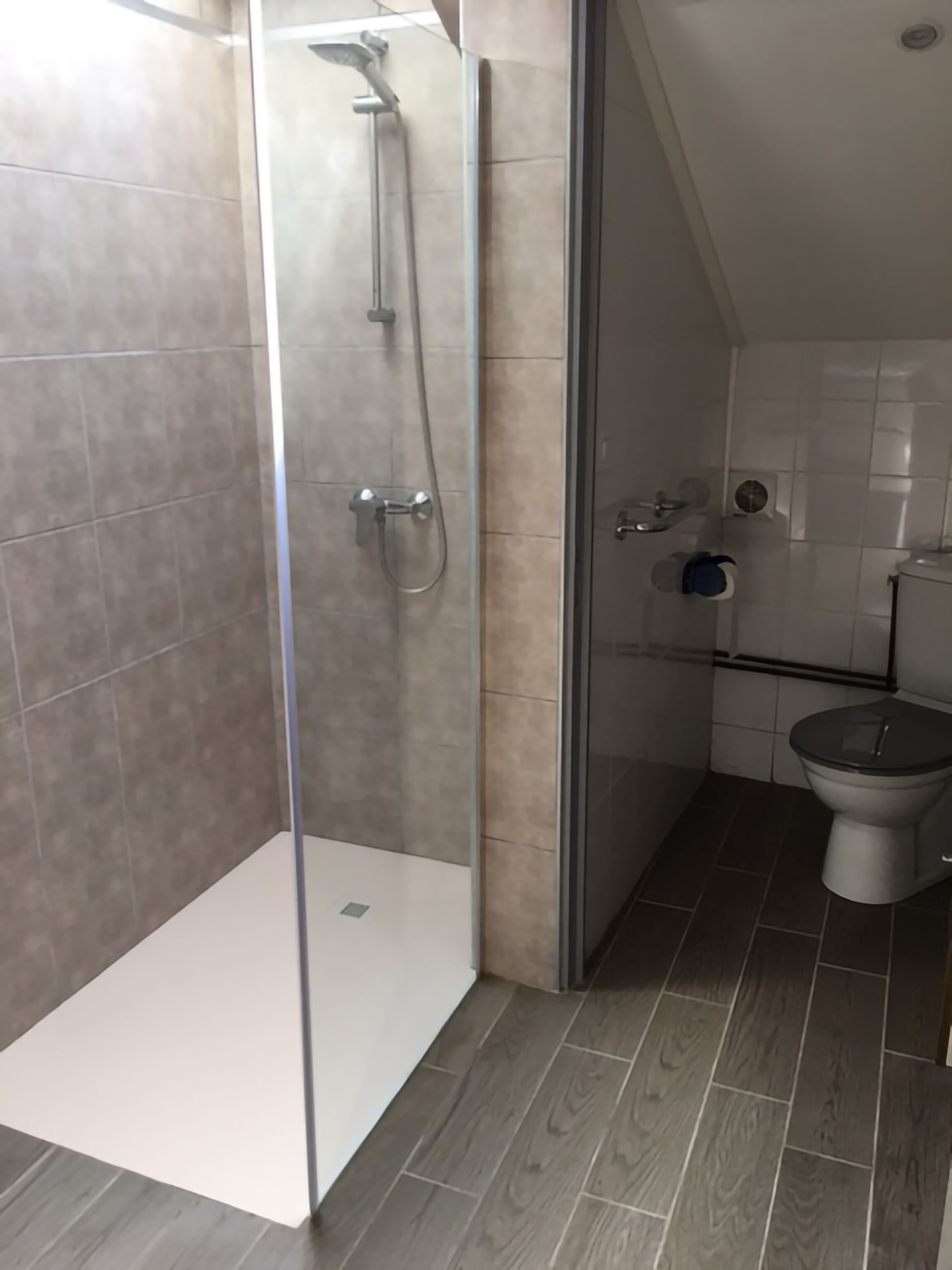 A modern bathroom with a glass-enclosed shower, a toilet, and a sink.