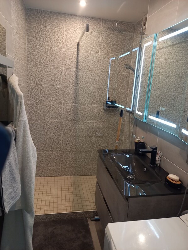 Shower, hair dryer, toilet paper