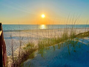 Ein Strand mit untergehender Sonne über dem Meer, mit Sanddünen und spärlicher Vegetation.