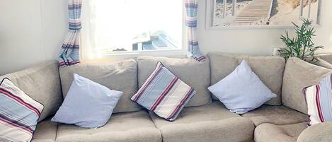 Télévision, lecteur de DVD, livres