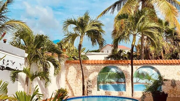 Una piscina de borde curvo, rodeada de palmeras y un muro de piedra.