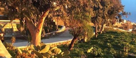 Overnatningsstedets område