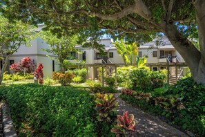 A courtyard with a pathway, surrounded by lush greenery and a building with multiple balconies.