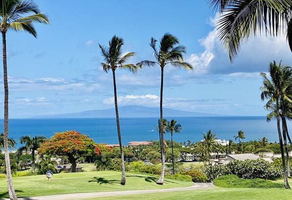A golf course with palm trees and a view of the ocean.