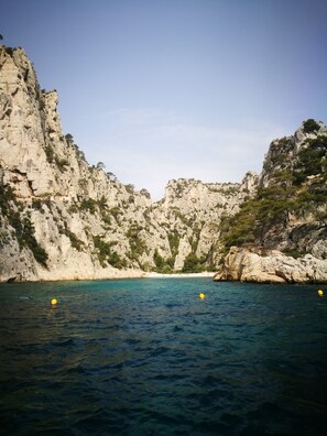 Playa en los alrededores y camastros 
