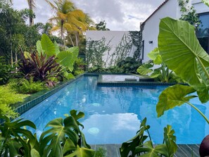 Pool - NEW Luxury Reno Oasis in Dorado Beach Ritz (Dorado)