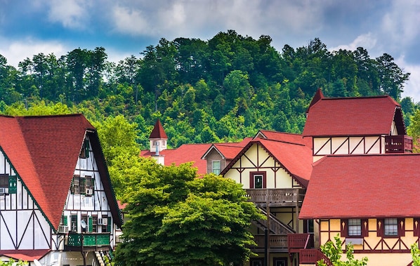 Traditional half-timbered buildings with steep roofs and a forested hill in the background.