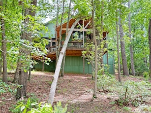 Une cabane dotĂ©e dâune terrasse en bois et dâune façade verte, entourĂ©e dâarbres et bordĂ©e par le sol forestier.