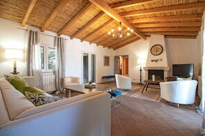 Télévision, cheminée