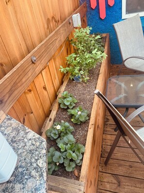 Exterior detail - Fascinating 2 bedroom (Chattanooga)