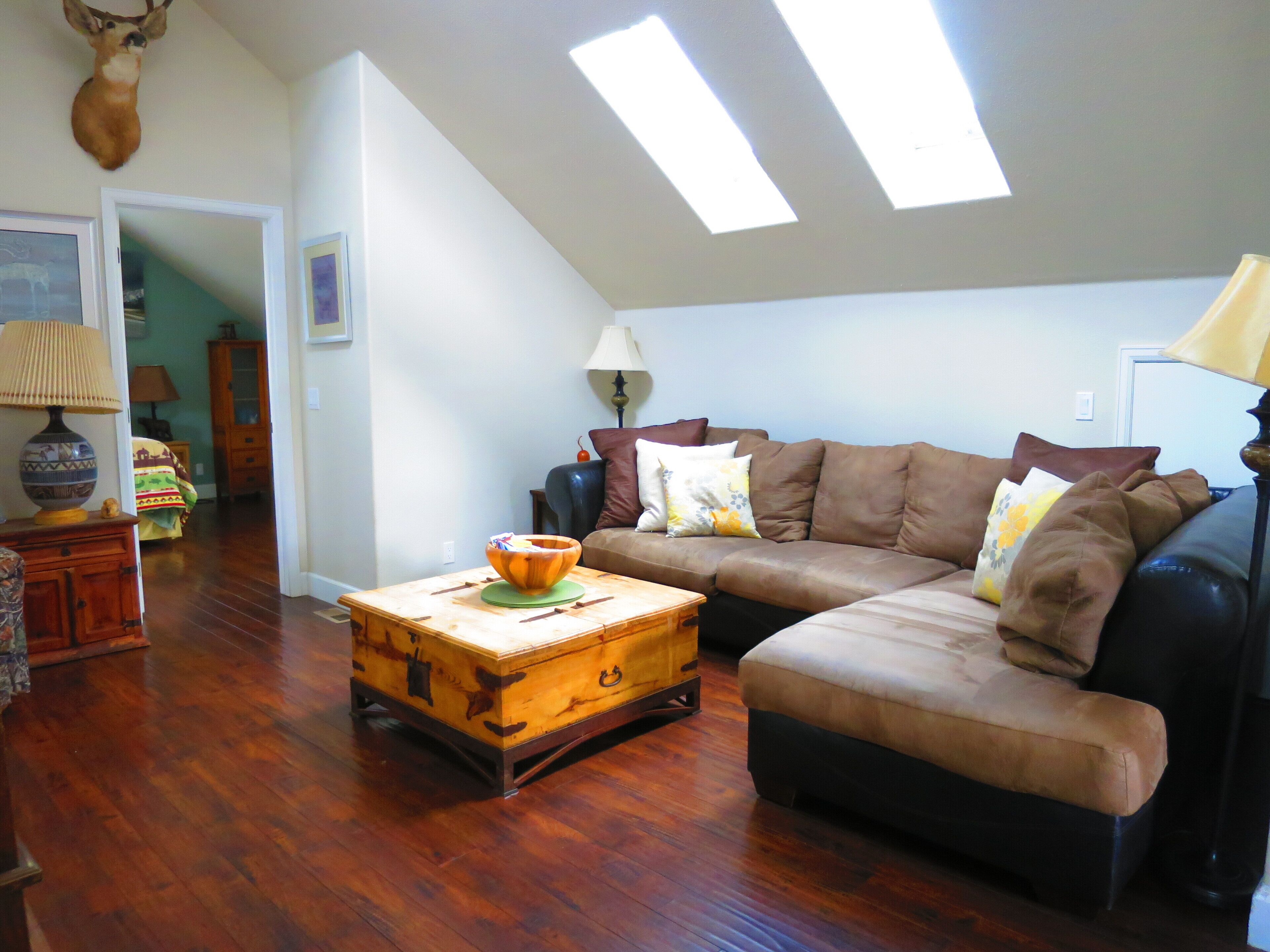 智能电视、壁炉、DVD 播放器、书