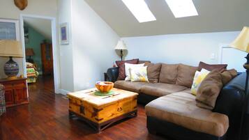 TV connectée, cheminée, lecteur de DVD, livres