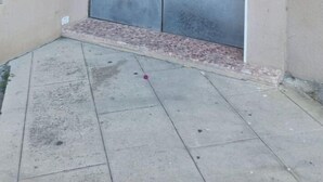 Ein Gebäudeeingang mit einer Doppeltür, der Hausnummer 30 darüber und einer kleinen Stufe zum Eingang.