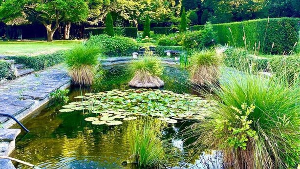 Ảnh chưa phân loại, 1 trong số 74 ảnh, nút