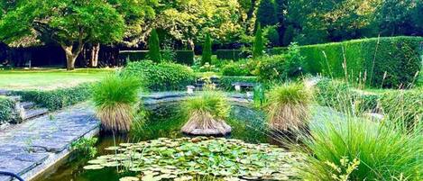 Mökki, 1 suuri parisänky | Ulkoalueet