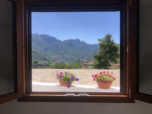 Uma janela com vista para montanhas, uma árvore e dois vasos de flores numa varanda.