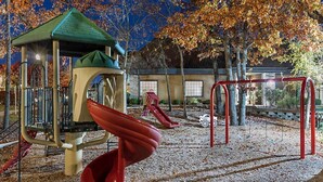 A playground with a slide, swings, and a climbing structure.
