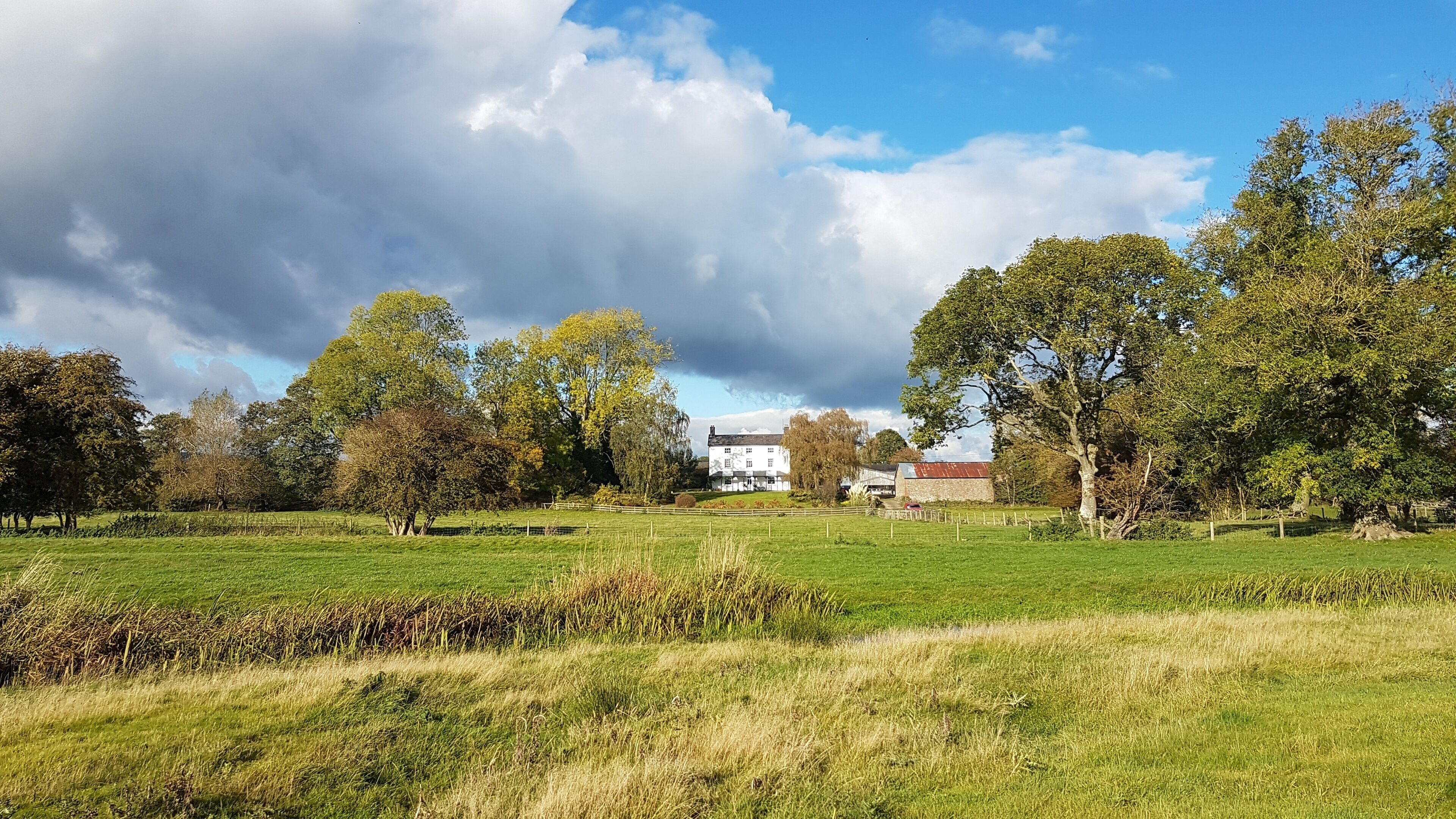 Eksteriør
