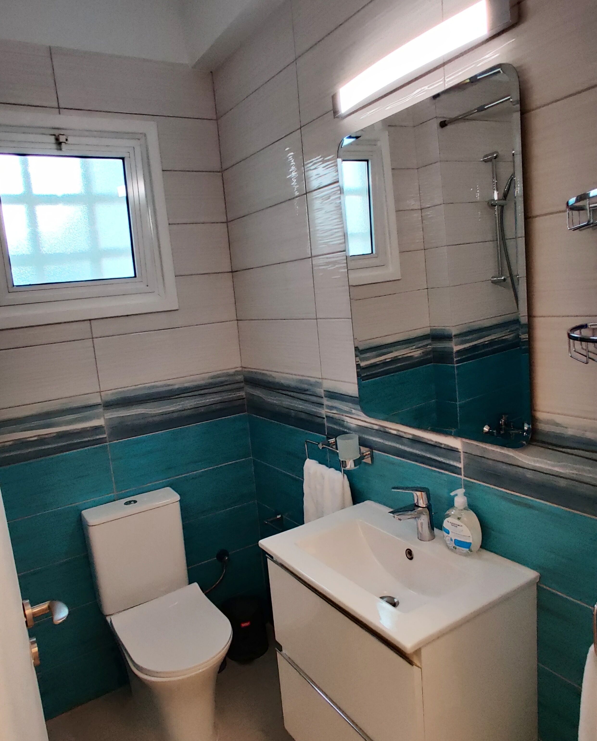 Une salle de bain avec des toilettes, un lavabo et un miroir.