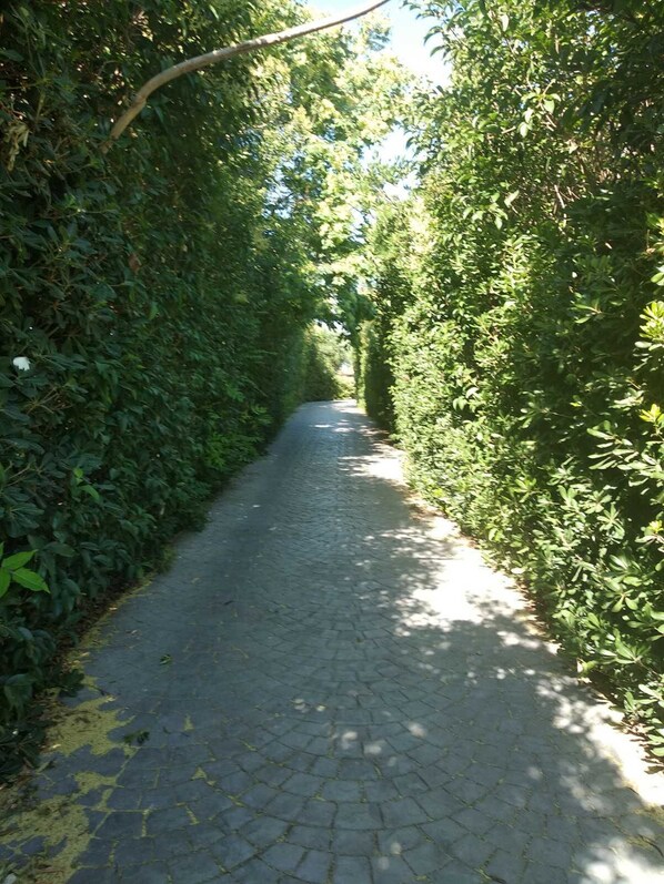 Jardines del alojamiento