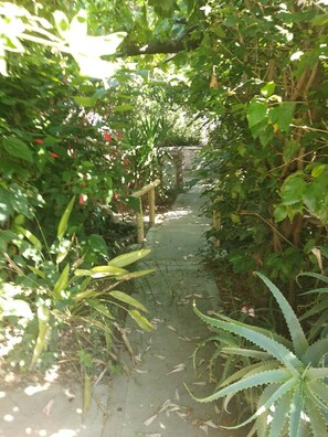 Property grounds - KOSDREAM.GR   (Κως)