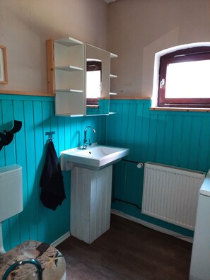 Shower, hair dryer, towels, toilet paper