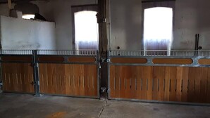 Un establo con puertas de madera, barrotes de metal, ventanas amplias y suelo de hormigón.