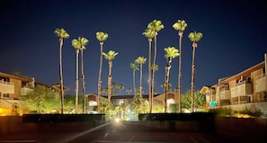 Hotel complex surrounded by tall palm trees, featuring modern architecture with balconies and a flat roof.