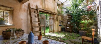 Pet friendly apartment