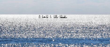A calm sea with multiple sailboats.