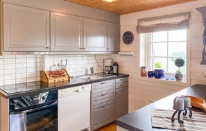 Kühlschrank, Mikrowelle, Herdplatte, Geschirrspüler