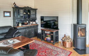 Fernseher, Kamin
